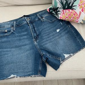 Gap denim distressed 5 inch shorts women’s size 16